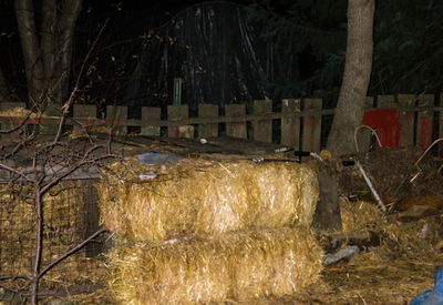Compost pile_1