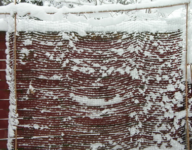 Snow pea fence