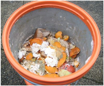 Food scraps after fermenting